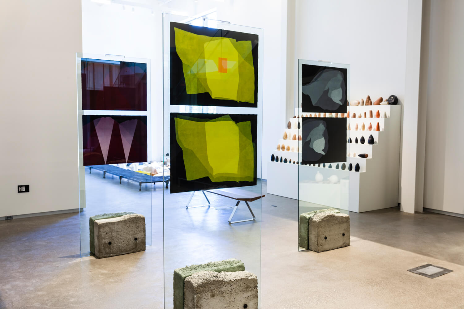 Three glass panels in a gallery room, each displaying two prints of organic shapes of different colours on black paper.