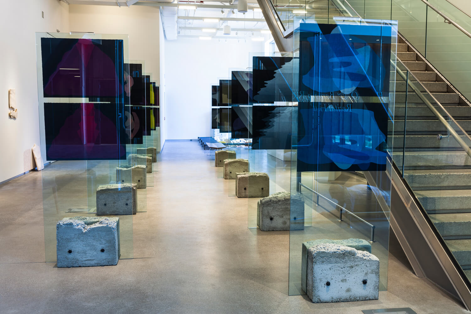 Two rows of glass panels lined up in a gallery room, each displaying two prints of organic shapes of different colours on black paper.