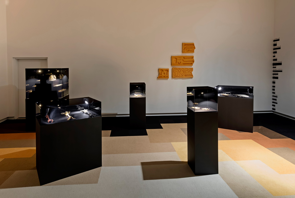 Five glass cases on plinths, artwork hanging on the wall, and the mosaic carpet made up of skin tone colours.