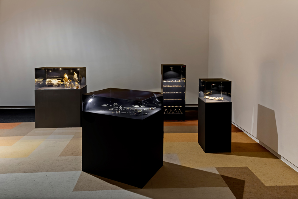 Four glass cases on plinths stand on top of a mosaic carpet made up of skin tone colours.