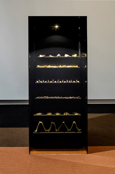 A display case with multiple shelves showcasing various arrangements of bones.