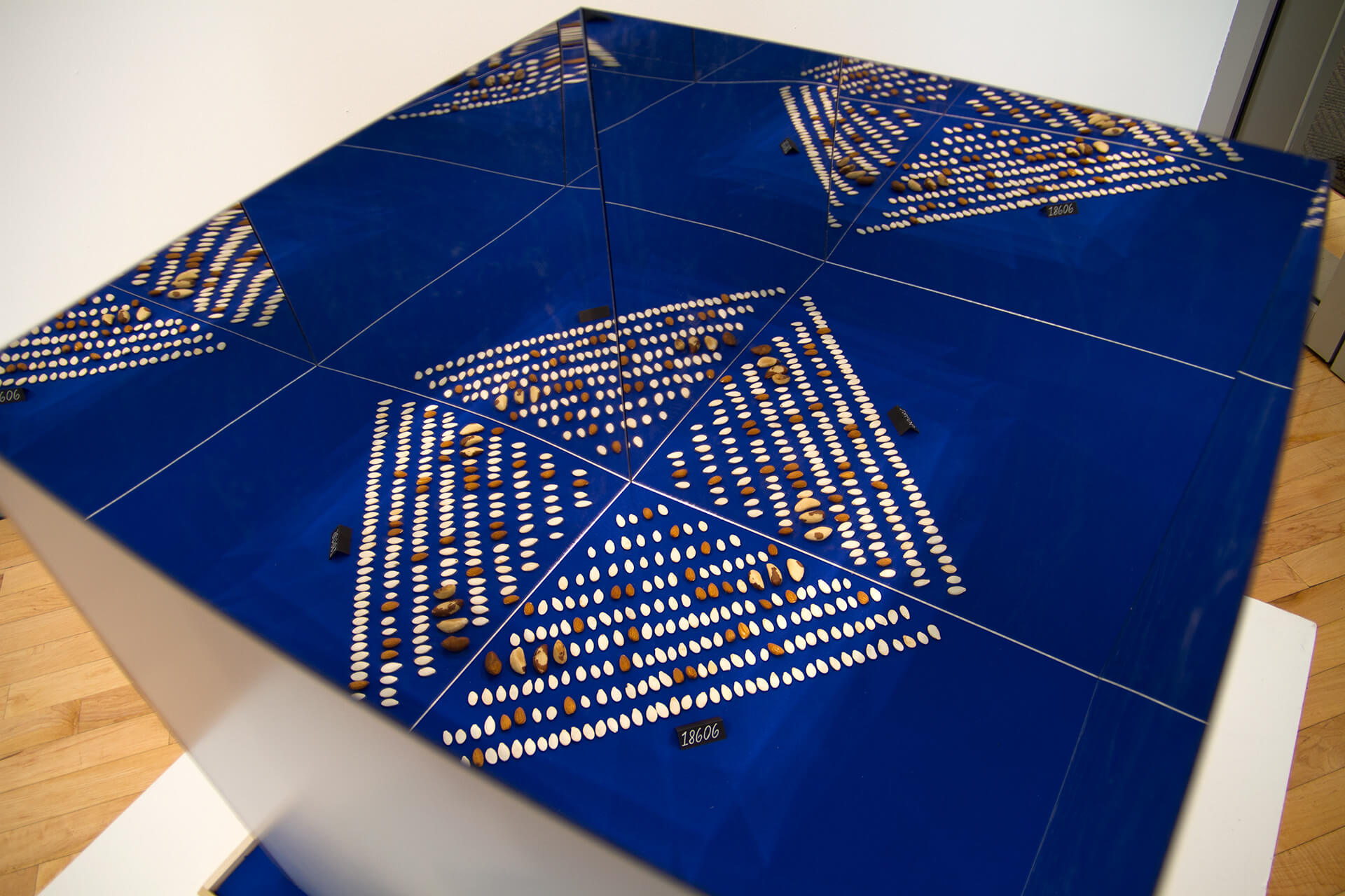 A blue display case with mirrored walls creating an optical illusion of the neatly arranged seeds and nuts inside of it.