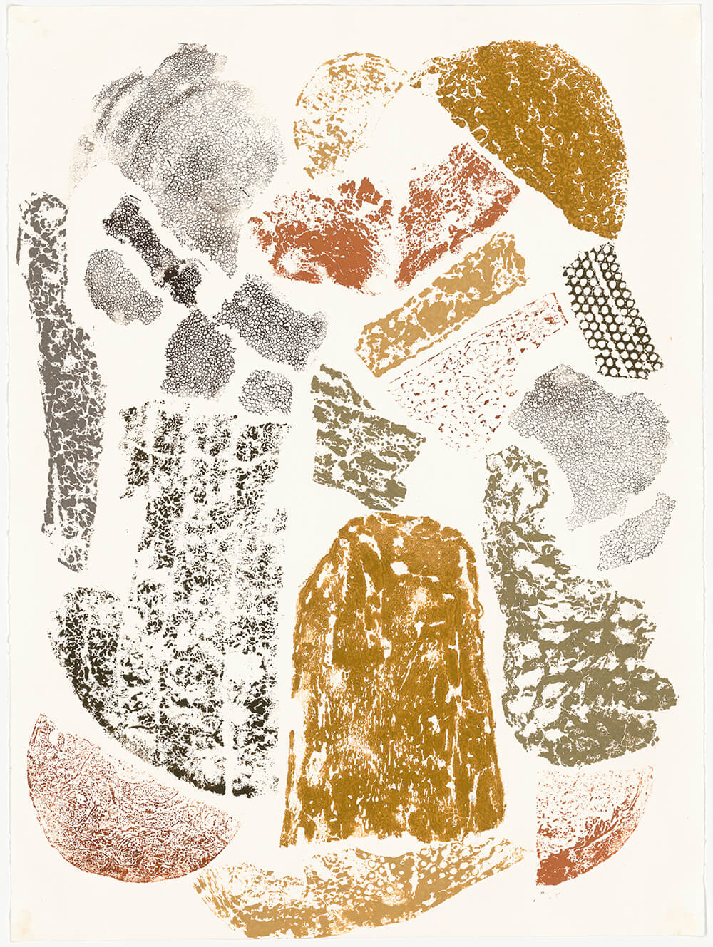 An abstracted relief print containing various earth tones, shapes and textures.