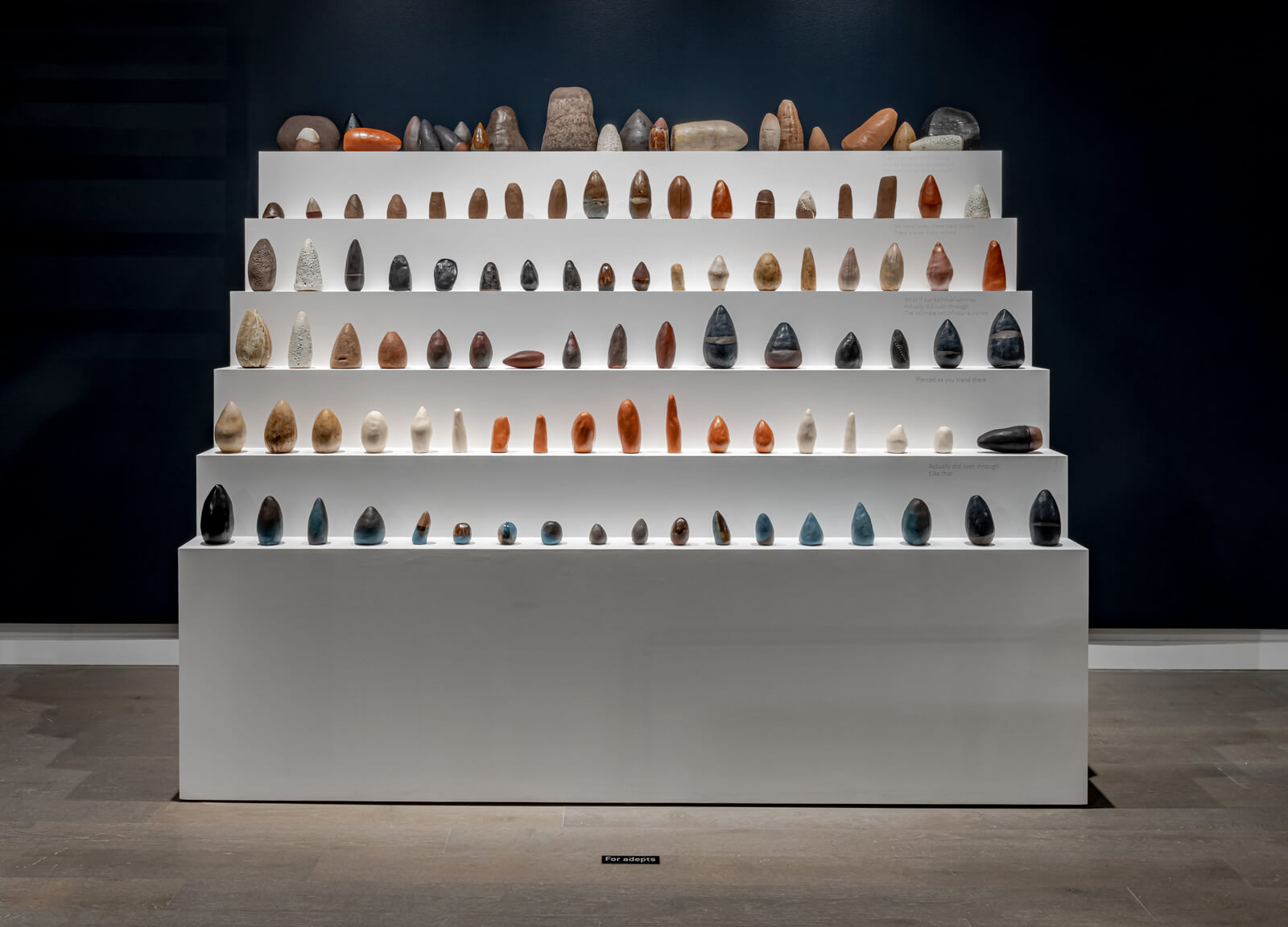 Full installation view of all sculptures lined up on a six level white plinth shaped like stair steps (front).